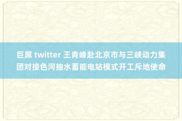 巨屌 twitter 王青峰赴北京市与三峡动力集团对接色河抽水蓄能电站模式开工斥地使命