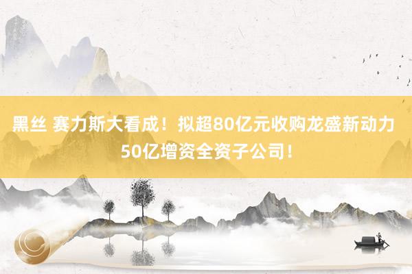 黑丝 赛力斯大看成！拟超80亿元收购龙盛新动力 50亿增资全资子公司！