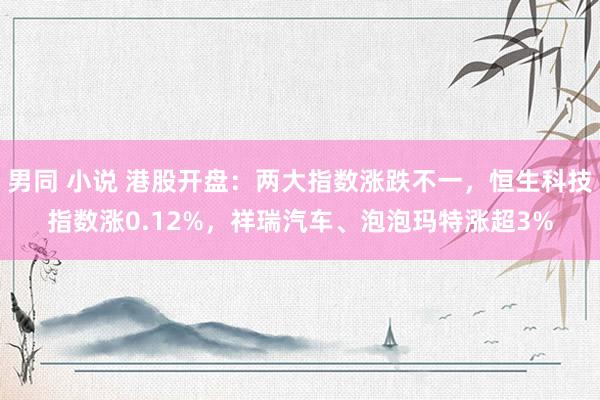 男同 小说 港股开盘：两大指数涨跌不一，恒生科技指数涨0.12%，祥瑞汽车、泡泡玛特涨超3%
