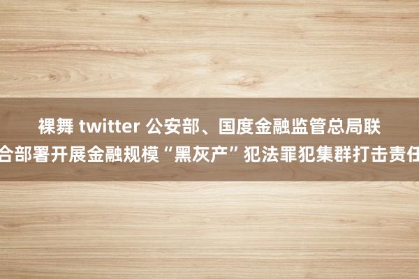 裸舞 twitter 公安部、国度金融监管总局联合部署开展金融规模“黑灰产”犯法罪犯集群打击责任