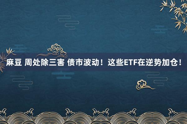 麻豆 周处除三害 债市波动！这些ETF在逆势加仓！